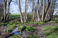 Moorgraben