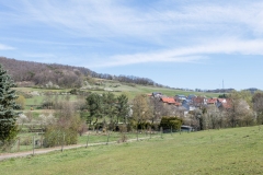 Weg zum Buchenknopf