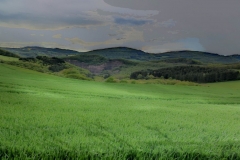 IMG-20210519-WA0012