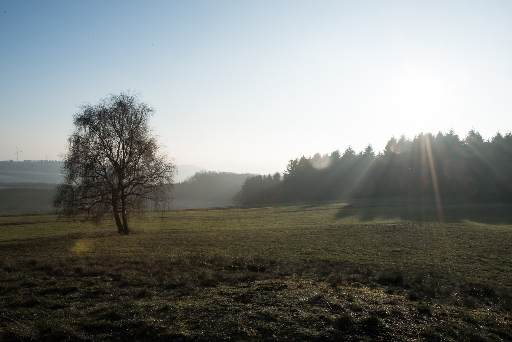 2019-1205-Morbach_Sterzelberg-5