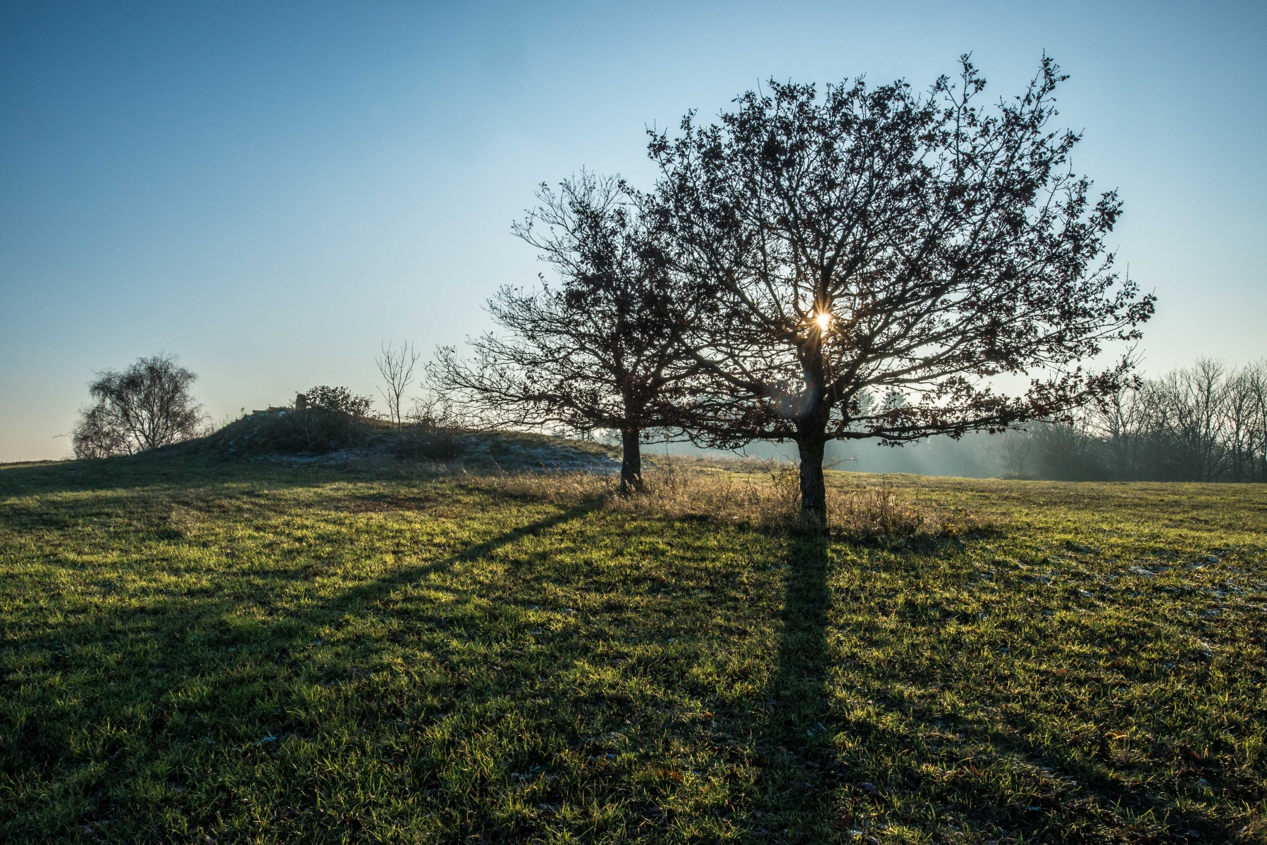 2019-1205-Morbach_Sterzelberg-8