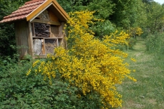 41-Insektenhotel-alt