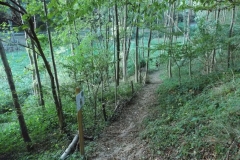 48-Zugang-Naturwiese