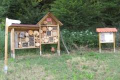 60_Insektenhotel_Wiese
