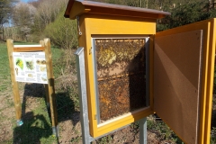 62-Bienenschau