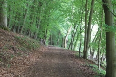 67-Hütterwald