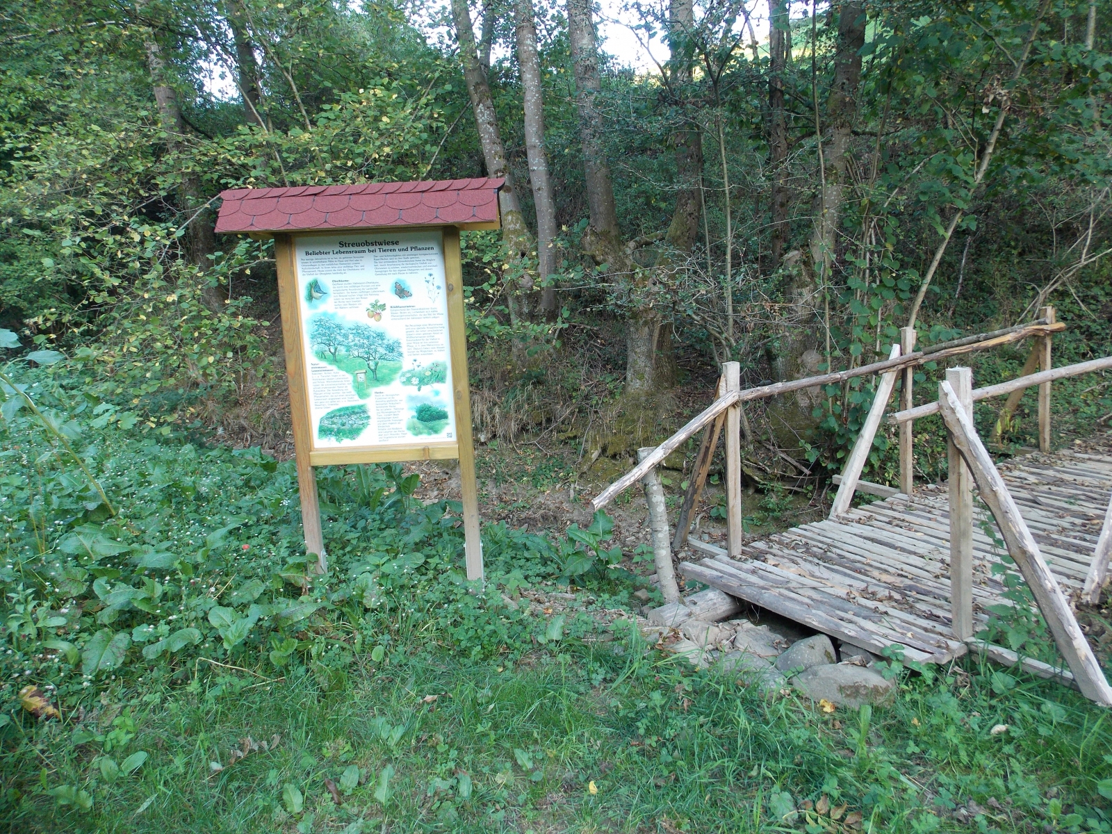 DSCN1928