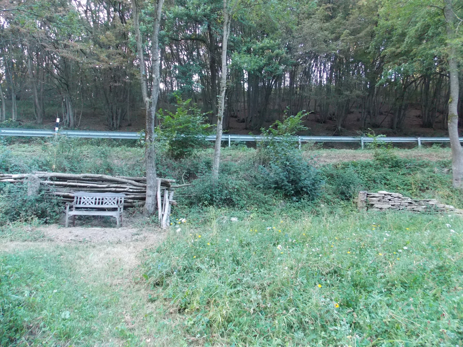 DSCN1930