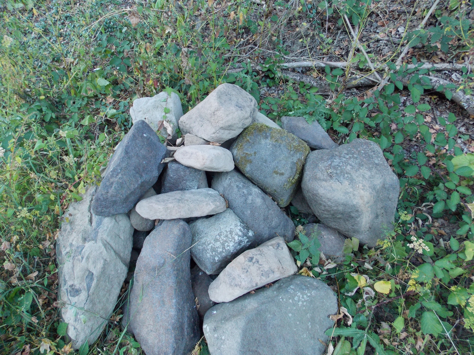 DSCN1932