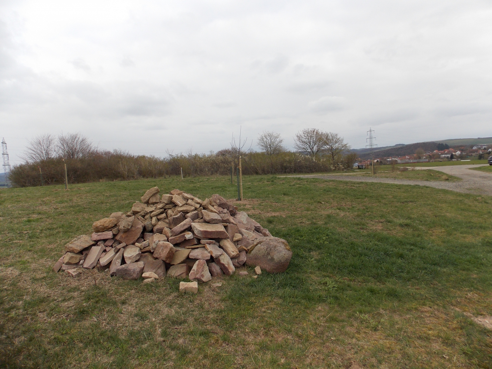 DSCN23001